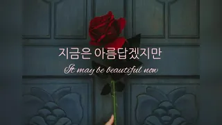 LEEHI- ROSE (HANGUL/ENGLISH LYRIC)