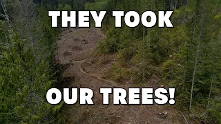 They Took Our Trees Part 1