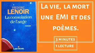 LA CONSOLATION DE L'ANGE - Fréderic LENOIR - Un roman léger comme un poème.