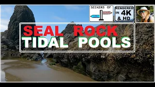 Seal Rock Oregon coast visitor attractions fun things to do tidal pools 4k with narrative