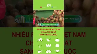 NHIỀU RAU QUẢ VIỆT NAM CHƯA THỂ XUẤT SANG TRUNG QUỐC | VTC16