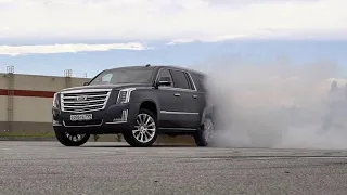 Квартира студия на V8. Cadillac Escalade.