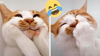 8 Minute Funniest Pets Video || Best Funny Video 2023