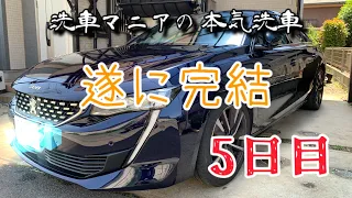 【天然ワックス施工】洗車マニアの本気洗車 第5日目