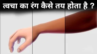 त्वचा गोरी या काली कैसे हो जाती है? skin colour science