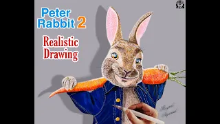How to Draw Peter Rabbit 2 / Realistic Drawing