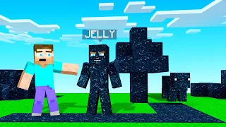 MINECRAFT But EVERYTHING You Touch BECOMES VOID!