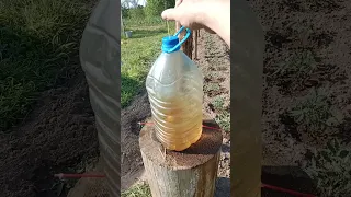 Как реально сделать рабочую систему капельного полива из 5 литровой пластиковой бутылки.Только так