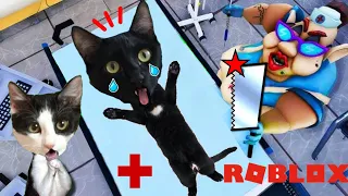 Escape del hospital roblox pero jugando con gatitos Luna y Estrella / Gameplay en español