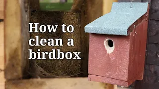 How to Clean a Bird Box
