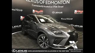 Grey 2019 Lexus NX 300 F Sport Series 3 Walk Around Review - West Edmonton, Alberta