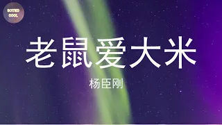 杨臣刚 - 老鼠爱大米 (動態歌詞/Lyrics)