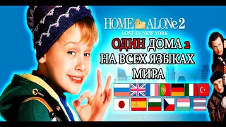 Один дома 2: Затерянный в Нью-Йорке / Многоязычная версия