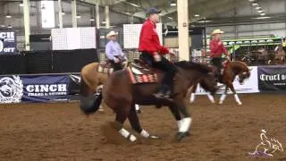 NRHA Derby '14 - Tom and The Wizster