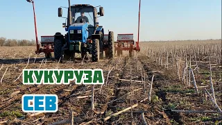 Сеем кукурузу