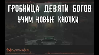 Гробница девяти богов. Учим новые кнопки //Neverwinter online Мод.12.5