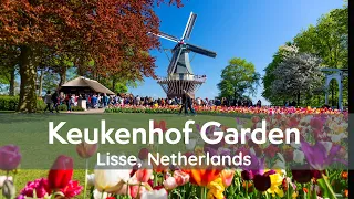 The Most Beautiful Garden in the World | Keukenhof Garden