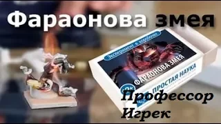 Распаковка Эксперимент в коробочке от "Простая наука".Фараоновая змея.Опыты для детей.