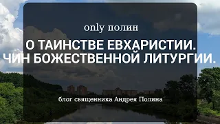 О ТАИНСТВЕ ЕВХАРИСТИИ. ЧИН БОЖЕСТВЕННОЙ ЛИТУРГИИ.