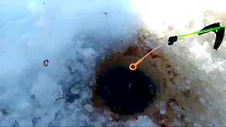 Зимняя рыбалка. Руки сводит тягать рыбу.😱Опустил камеру под лёд что это ? Ловля рыбы на мормышку.