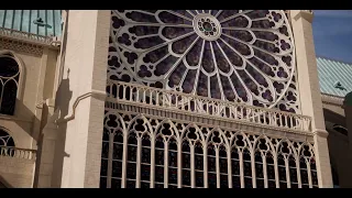 Notre Dame De Paris : cathédrale Lumière