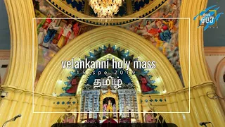 velankanni live mass today || holy mass in tamil ||velankanni church|| velankanni live