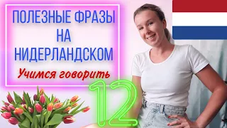 Учимся говорить на нидерландском языке. Полезные фразы на голландском. Урок 12