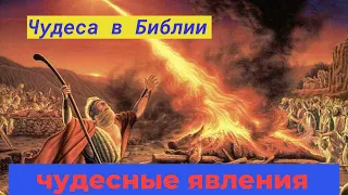 Библейские чудеса. Часть 3. Чудеса в природе