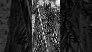 What's wrong, Scared? (Guts/Berserk short edit)