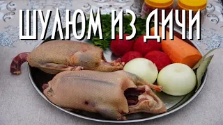 Шулюм охотничий в казане