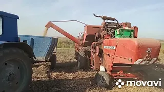 Massey  Ferguson 87. Соя завершення!