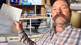 Turning OLD Cows Into NEW Cash!!