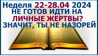 Неделя  22 - 28 апреля 2024 г.: о современных назореях. Свидетели Иеговы