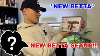 BUYING my GIRLFRIEND a NEW FISH | *NEW BETTA FISH*