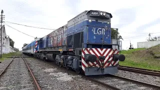 Cruce Ferrocarril Roca Haedo Temperley - Belgrano Sur Ramal Marinos del Crucero Gral Belgrano-k12