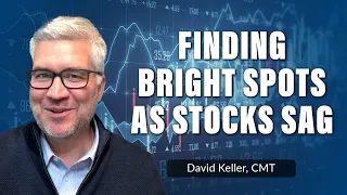 Finding Bright Spots as Stocks Sag | David Keller, CMT | The Final Bar (09.17.21)