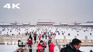 Snowfall Walking Tour in The Forbidden City - Beijing‘s first snowfall in Spring | China 4K