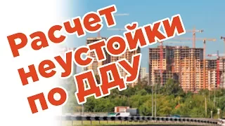 Расчет неустойки по ДДУ