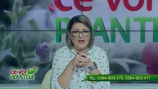 Ce vor plantele Cristina Ghibu partea 1 2023 01 30