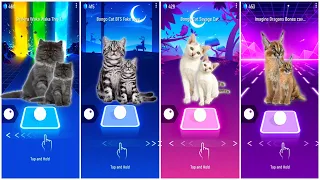 Unveiling the 😻 Cutest Cats 💃🏻🕺🏻 Dancing to Shakira, BTS, and Imagine Dragons in Tiles Hop!
