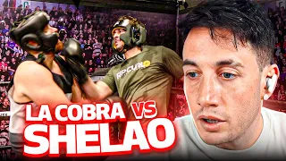 REACCIÓN A LA COBRA VS SHELAO