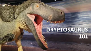 Dryptosaurus 101