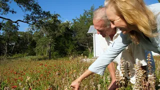 Creating Habitats