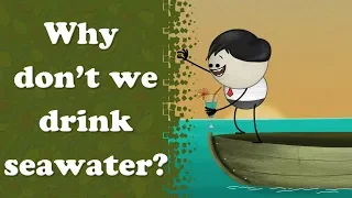 Why don't we drink seawater? | #aumsum #kids #science #education #children