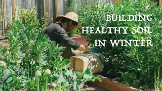 Simple ways to fertilize your vegetable garden in winter ｜Bokashi compost, Winter cover crops