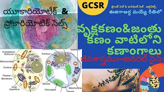 వృక్ష &జంతు కణము ,కణాంగాలు (ప్లాంట్ &అనిమల్ సెల్ ,ఆర్గనేల్ల్స్)యూకారియోటిక్ &ప్రోకారియోటిక్  సెల్స్