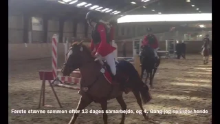 Anita Louise Petersen & Nieland's Mariebelle - Første Springstævne sammen LB1* 1. Plads