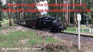 Steam through the Dandenong's - Chasing Puffing Billy - Belgrave to Lakeside service | 14A. 03/03/24