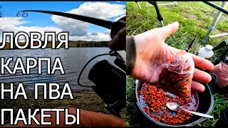 РЫБАЛКА НА ПВА ПАКЕТЫ | ЛОВЛЯ КАРПА ОСЕНЬЮ.