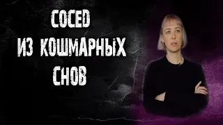 Сосед из кошмарных снов.